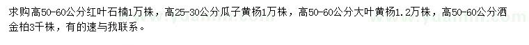 求購紅葉石楠、瓜子黃楊、大葉黃楊等