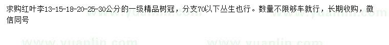求購(gòu)13、15、18、20、25、30公分紅葉李