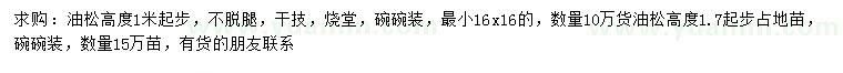 求購高1米起步油松