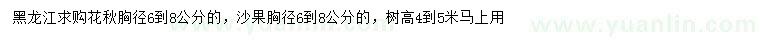 求購胸徑6-8公分花楸、沙果