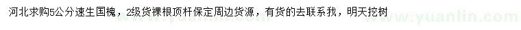 求購5公分速生國槐