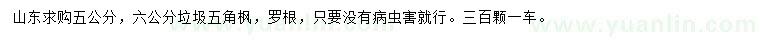求購5、6公分垃圾五角楓