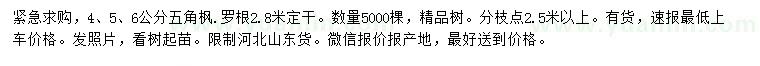 求購4、5、6公分五角楓