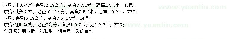 求購地徑10-12、12-13、15-18公分北美海棠、7公分紅葉碧桃