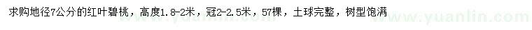 求購地徑7公分紅葉碧桃