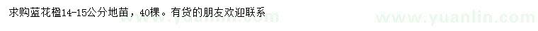 求購14-15公分藍(lán)花楹