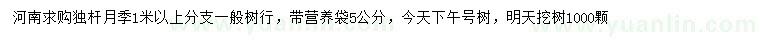 求購獨桿月季