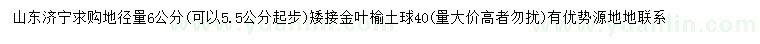 求購地徑量6公分矮接金葉榆