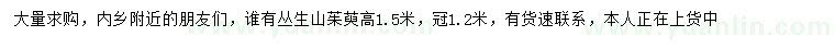 求購高1.5米叢生山茱萸
