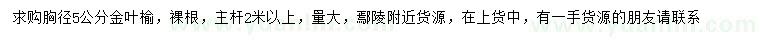 求購胸徑5公分金葉榆