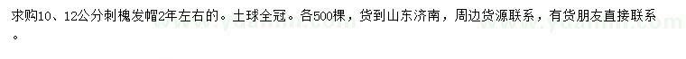 求購10、12公分刺槐