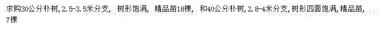 求購30、40公分精品樸樹