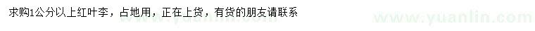 求購(gòu)1公分以上紅葉李