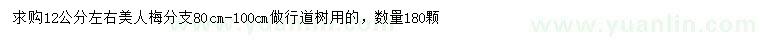 求購12公分美人梅