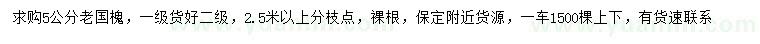 求購5公分老國槐
