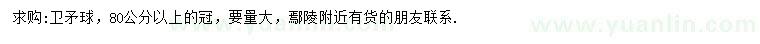 求購冠幅80公分以上衛(wèi)矛球