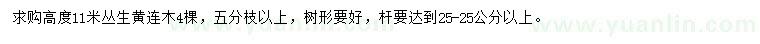 求購高11米叢生黃連木