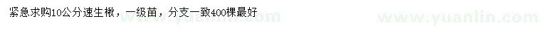 求購(gòu)10公分速生楸