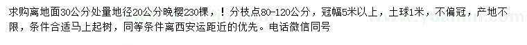 求購30量地徑20公分晚櫻