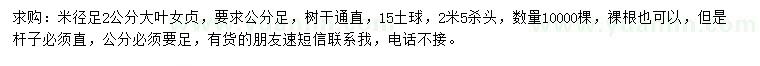 求購米徑足2公分大葉女貞