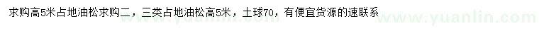 求購高5米油松