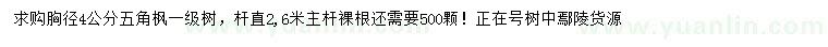 求購(gòu)胸徑4公分五角楓