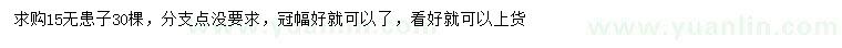 求購15公分無患子