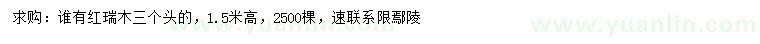 求購(gòu)高1.5米紅瑞木