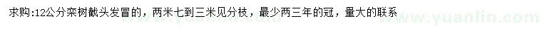 求購12公分欒樹