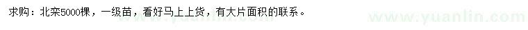 求購北欒一級苗