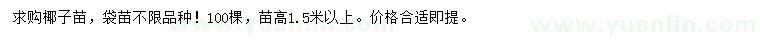 求購高1.5米以上椰子苗