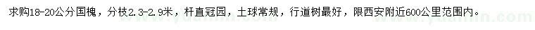 求購(gòu)18-20公分國(guó)槐
