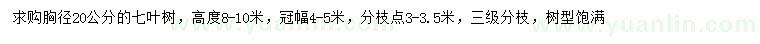 求購胸徑20公分七葉樹