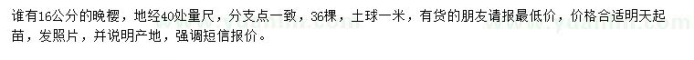 求購(gòu)地徑40公分量16公分晚櫻