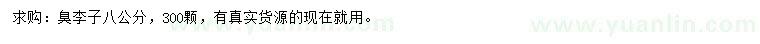 求購8公分臭李子