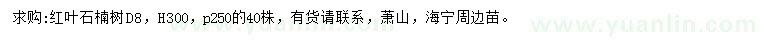 求購地徑8公分紅葉石楠