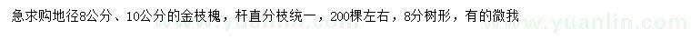 求購地徑8、10公分金枝槐
