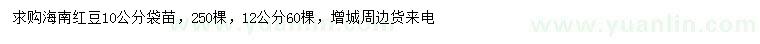 求購(gòu)10、12公分海南紅豆