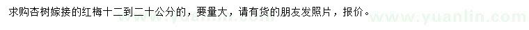 求購12-20公分杏樹嫁接紅梅