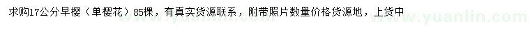 求購17公分早櫻