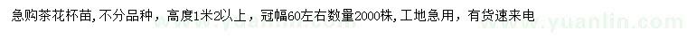 求購冠幅60公分左右茶花杯苗
