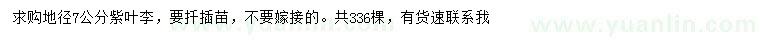求購7公分紫葉李