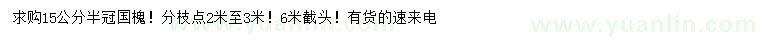 求購15公分國槐