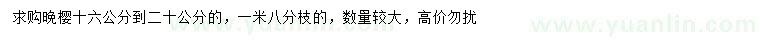 求購16-20公分晚櫻
