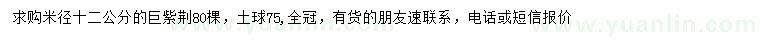 求購米徑12公分巨紫荊