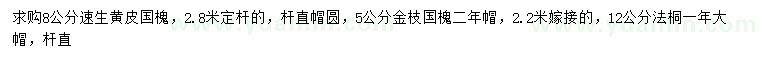 求購速生國槐、金枝國槐、法桐