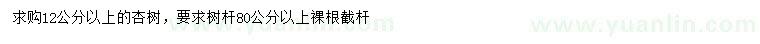 求購12公分以上杏樹