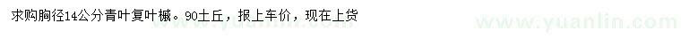 求購胸徑14公分青葉復葉槭