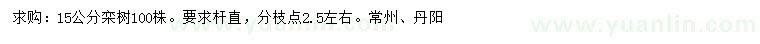 求購15公分欒樹