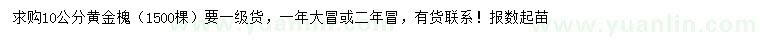求購10公分黃金槐